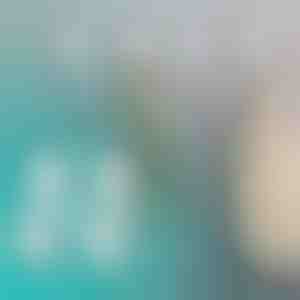 Konksud (4 tk) | QUICKGRIP