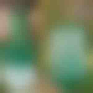 Taaskasutatav rippuv kärbse- ja putukapüünis | INSECTA