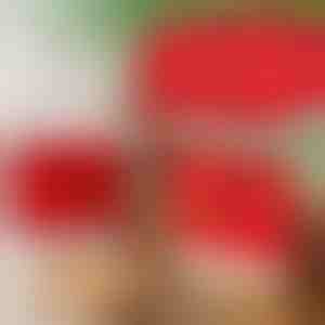 Jõulud stiilis söögitooli katted (4tk) | SANTASEAT