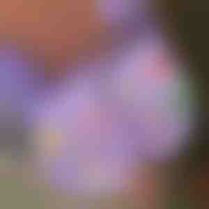 Helendavad jõulused jalanõu kaunistused (7tk) | SHINETAGS