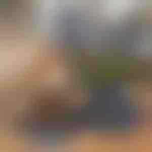 Kokkupandav 2-in-1 lemmikloomakauss toidule ja veele | WOOFDISH