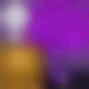 Dekoratiivne puukujuline lamp | BLISSTREE