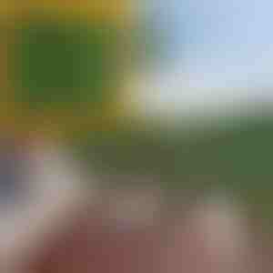 Kunstlike lehtedega privaatsuspaneel | LEAFPANEL