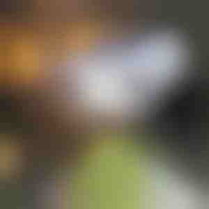 Liikumisanduriga päikesepildi vaatevahend | LUMACAM