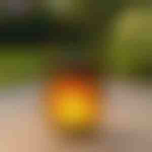 Päikeselaternad tantsiva leegi efektiga | FLAMLUX