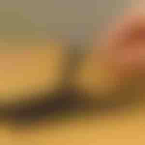 10-osaline poltide eemaldamise komplekt | SCREWX