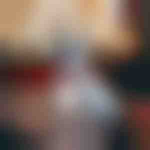 Pidulik lumehelbekestega kaelarihm koerale| DOGICOLLAR