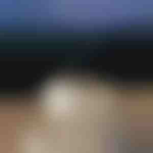 Rahustav aroomihajuti | MEDUSAMIST