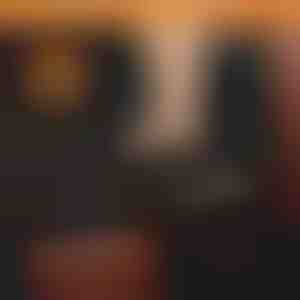 Koerte veekindel auto tagaistme kate | CARIPET