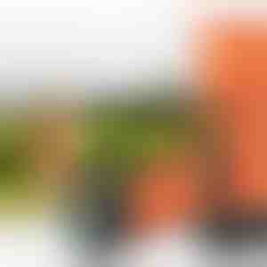 Ultraheli lemmikloomade treeningseade | WOOFSTOP