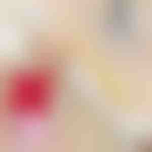 Plekieemalduslapid (20 tk) | STAINIX