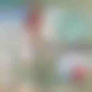 Teleskoopiline metallist paadikonks | FASTDOCK