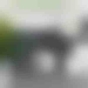 Muuda varurull dekoratsiooniks – 16 cm | ROLLSHEEP